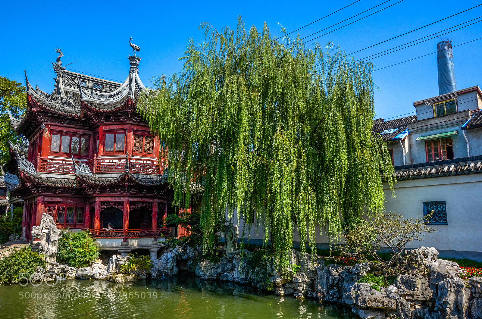 Nikon D7000 sample photo. Yuyuan garden photography