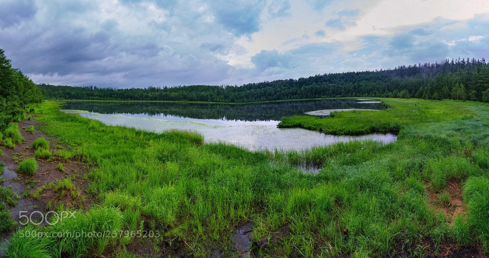 Pentax K-1 sample photo. Refllection in rhododendron lake photography