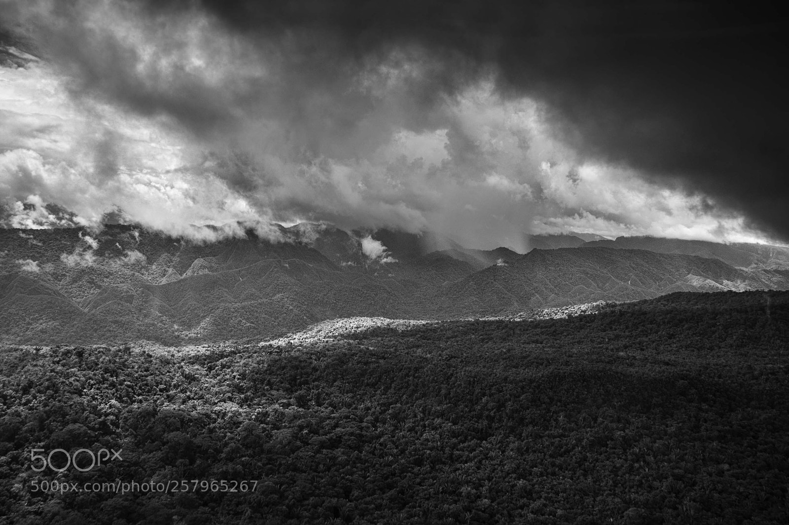 Nikon D50 sample photo. Storm on the rainforest photography