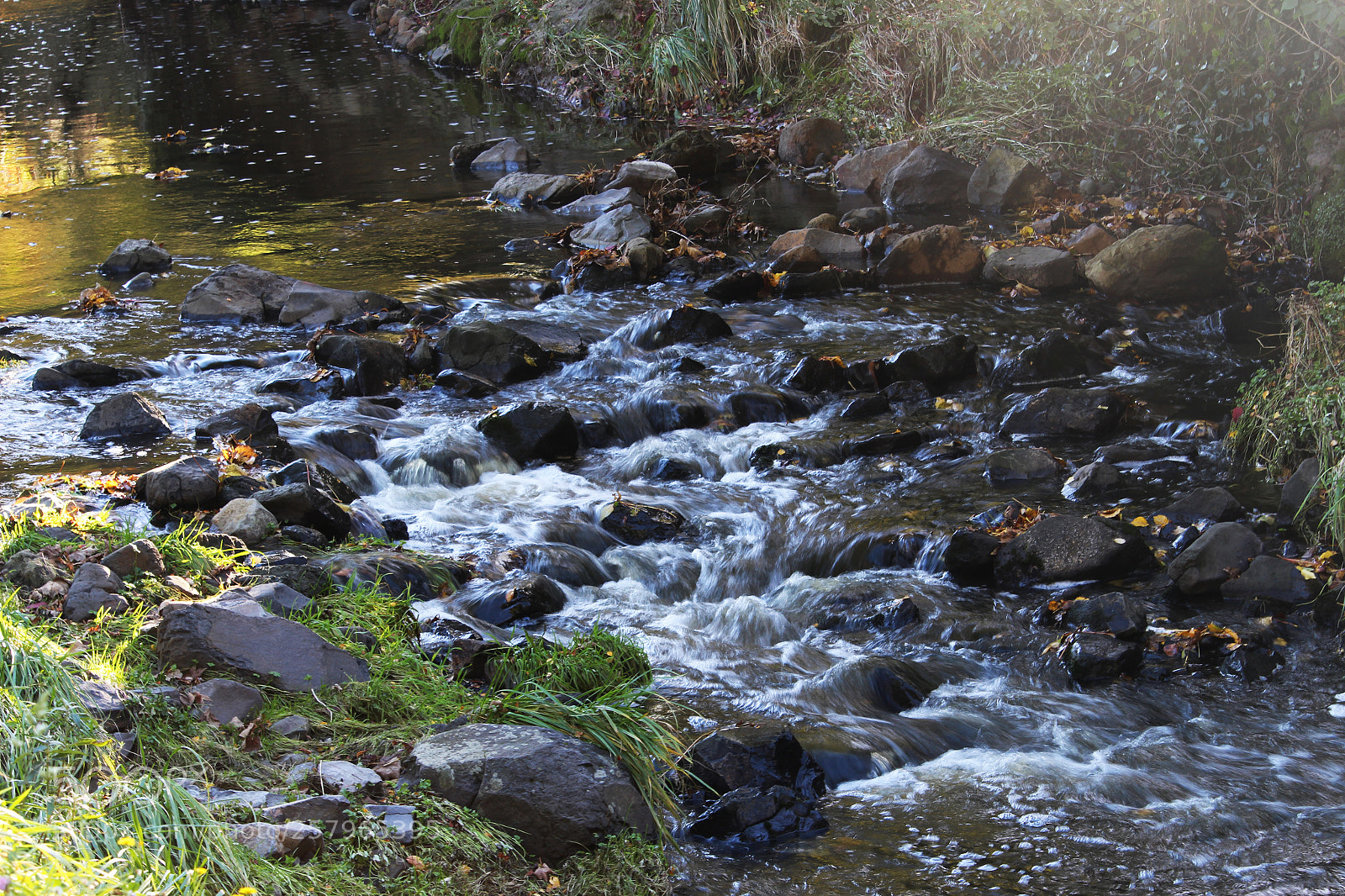 Canon EOS 700D (EOS Rebel T5i / EOS Kiss X7i) sample photo. Oamaru gardens rapids photography