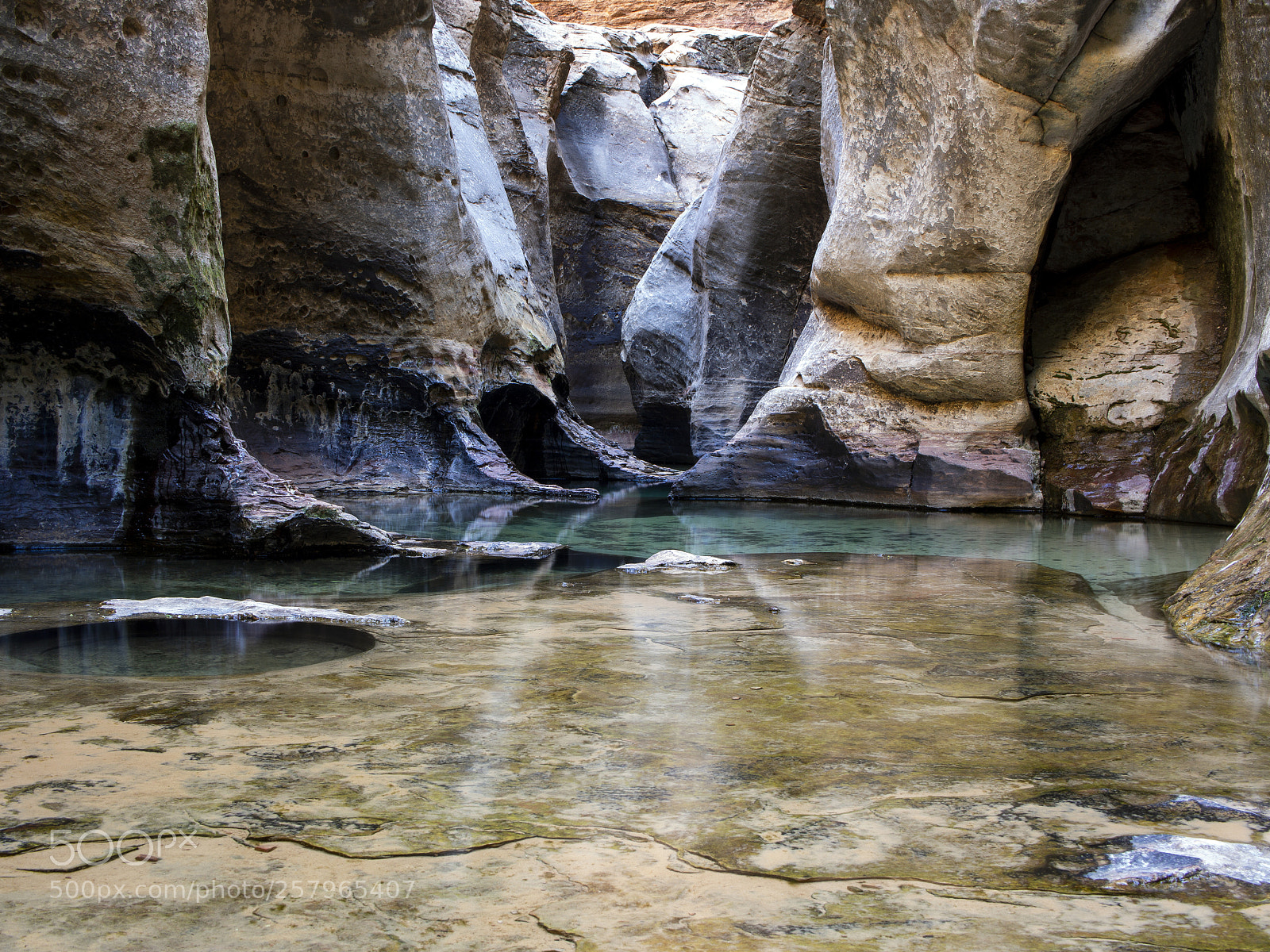 Olympus OM-D E-M5 sample photo. Zion national park, the photography