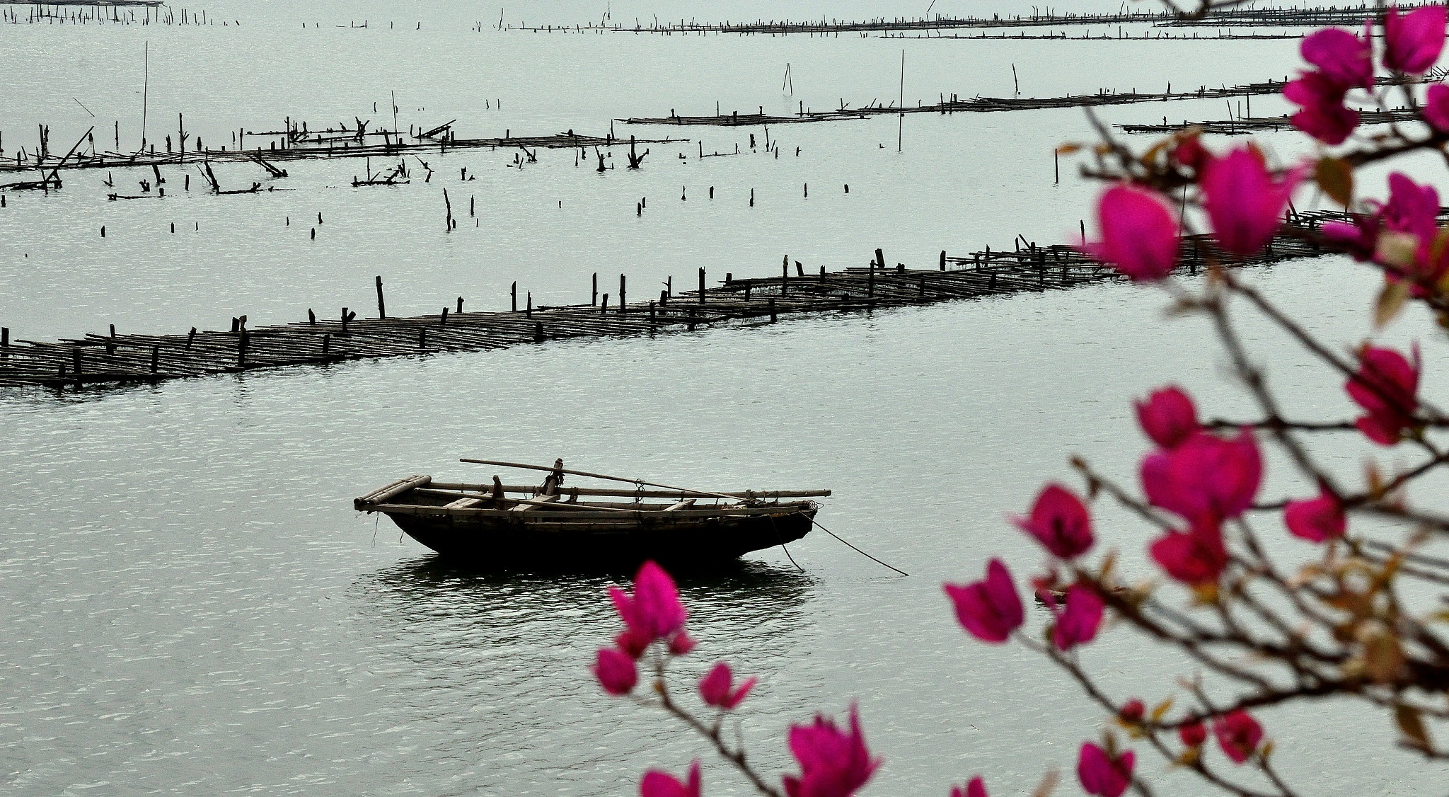 Nikon D3200 sample photo