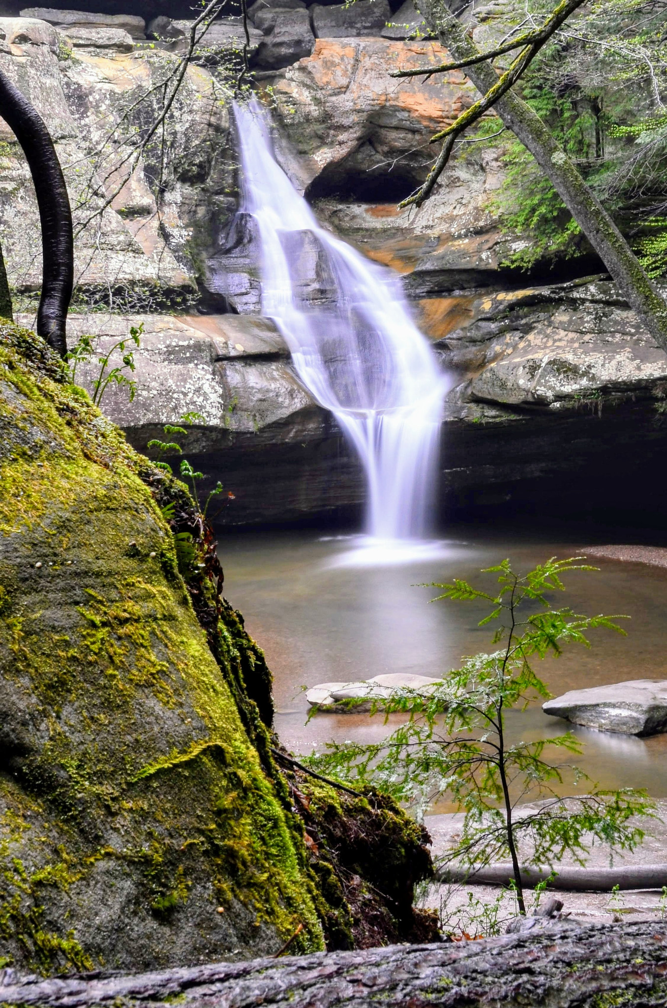 Nikon D7000 sample photo. Cedar falls photography