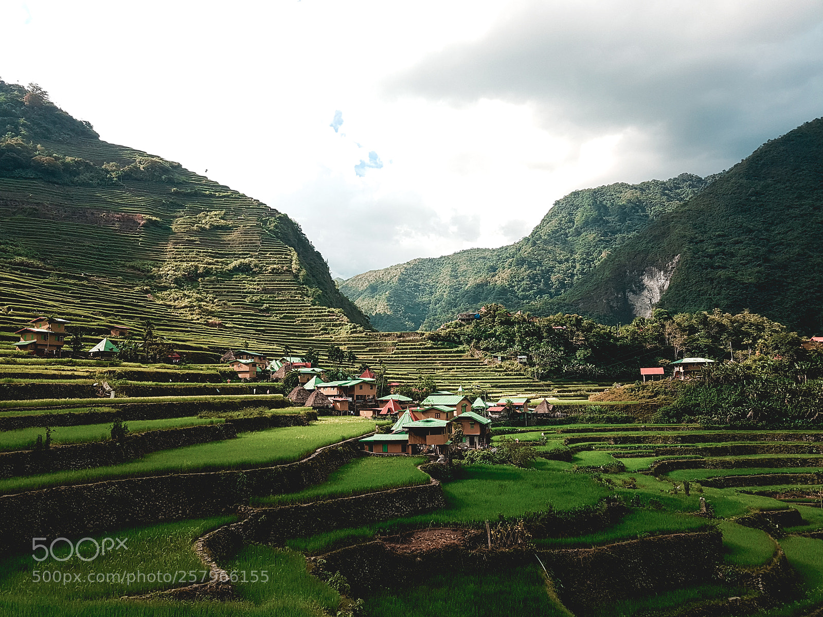 Samsung Galaxy S7 sample photo. Batad rice terraces photography