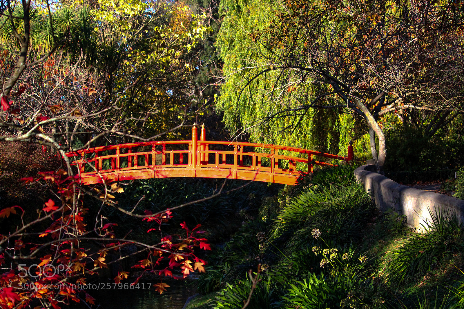 Canon EOS 700D (EOS Rebel T5i / EOS Kiss X7i) sample photo. Chinese bridge photography
