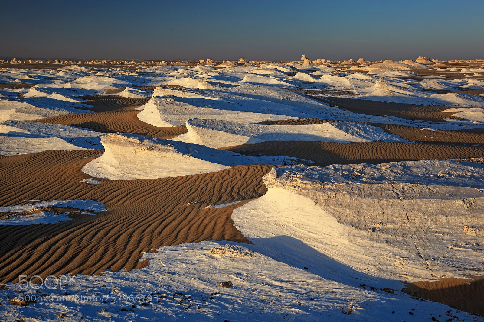Canon EOS 5D Mark II sample photo. Bahariya oasis in the photography