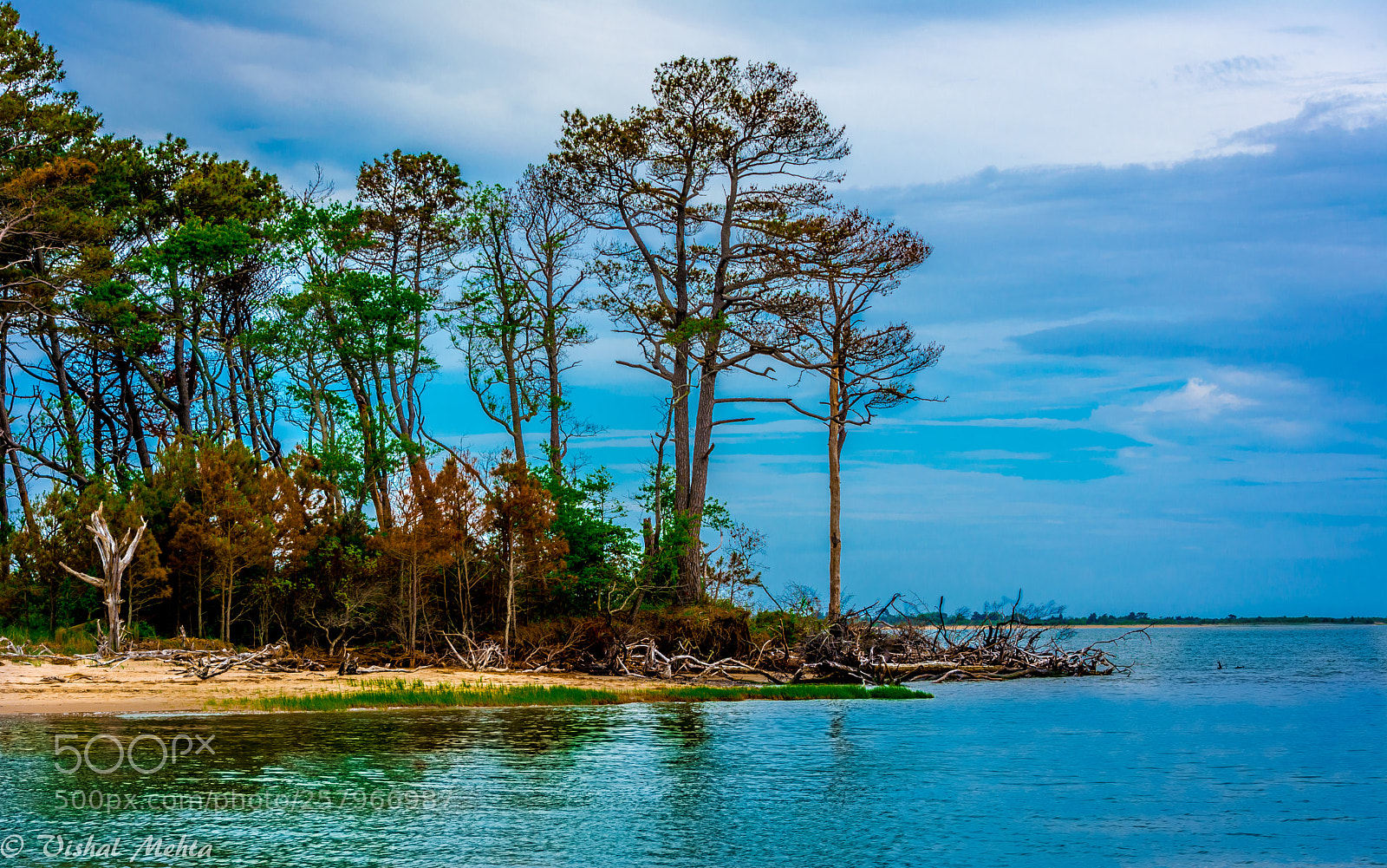 Nikon D5200 sample photo. Postcard photography