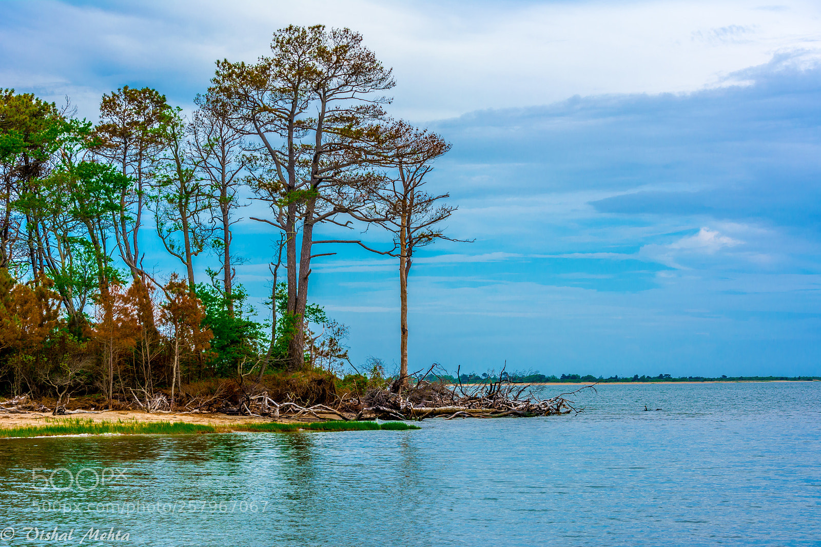 Nikon D5200 sample photo. Postcard photography