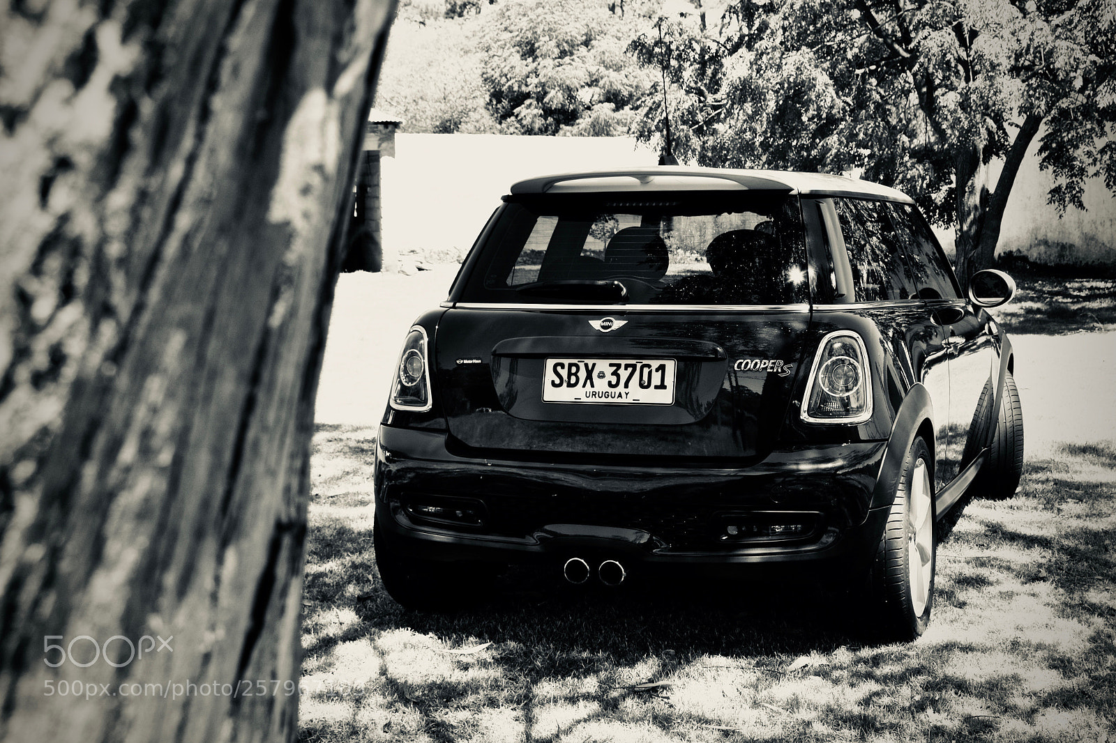 Nikon D7100 sample photo. "mini" photography
