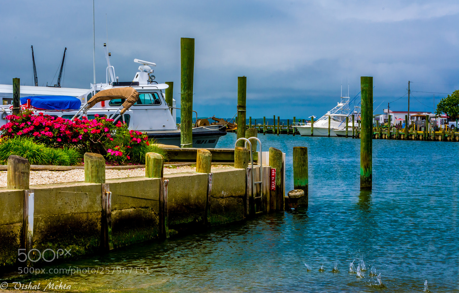 Nikon D5200 sample photo. Postcard photography
