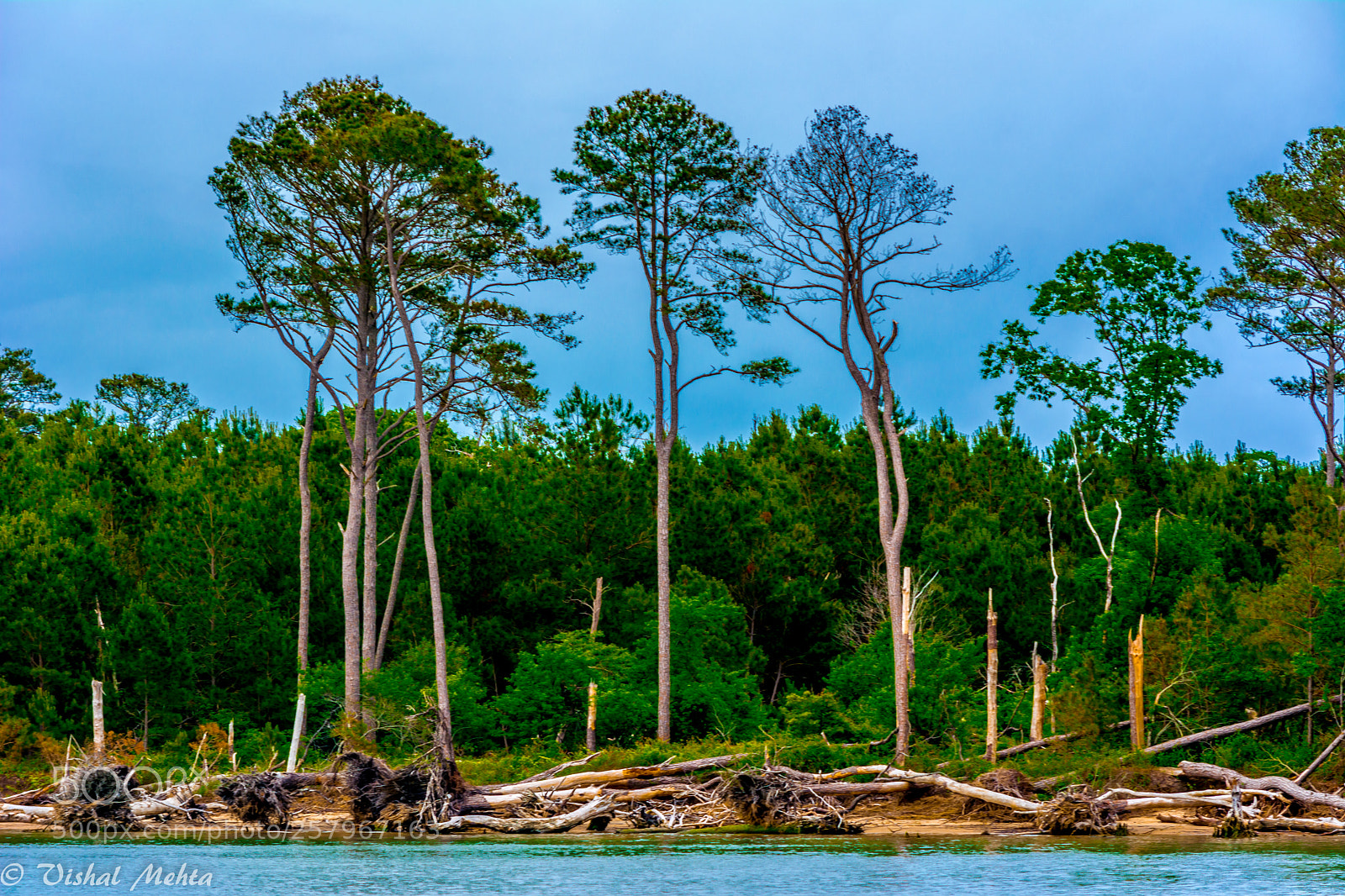 Nikon D5200 sample photo. Postcard photography