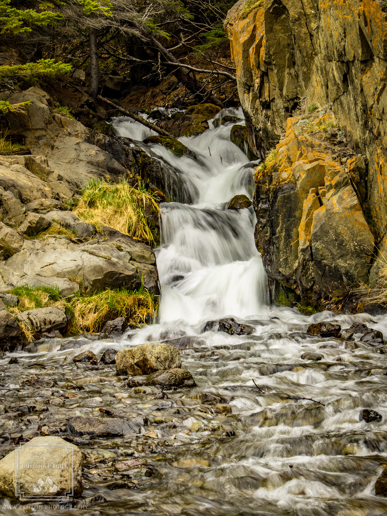 Canon EOS 760D (EOS Rebel T6s / EOS 8000D) sample photo. Mchugh creek photography