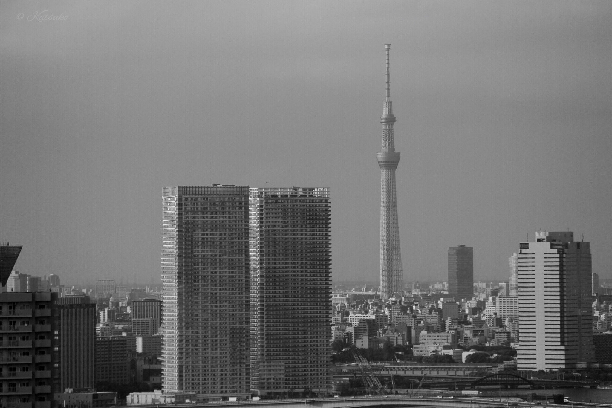 Canon EOS 500D (EOS Rebel T1i / EOS Kiss X3) sample photo. Tokyo skytree photography