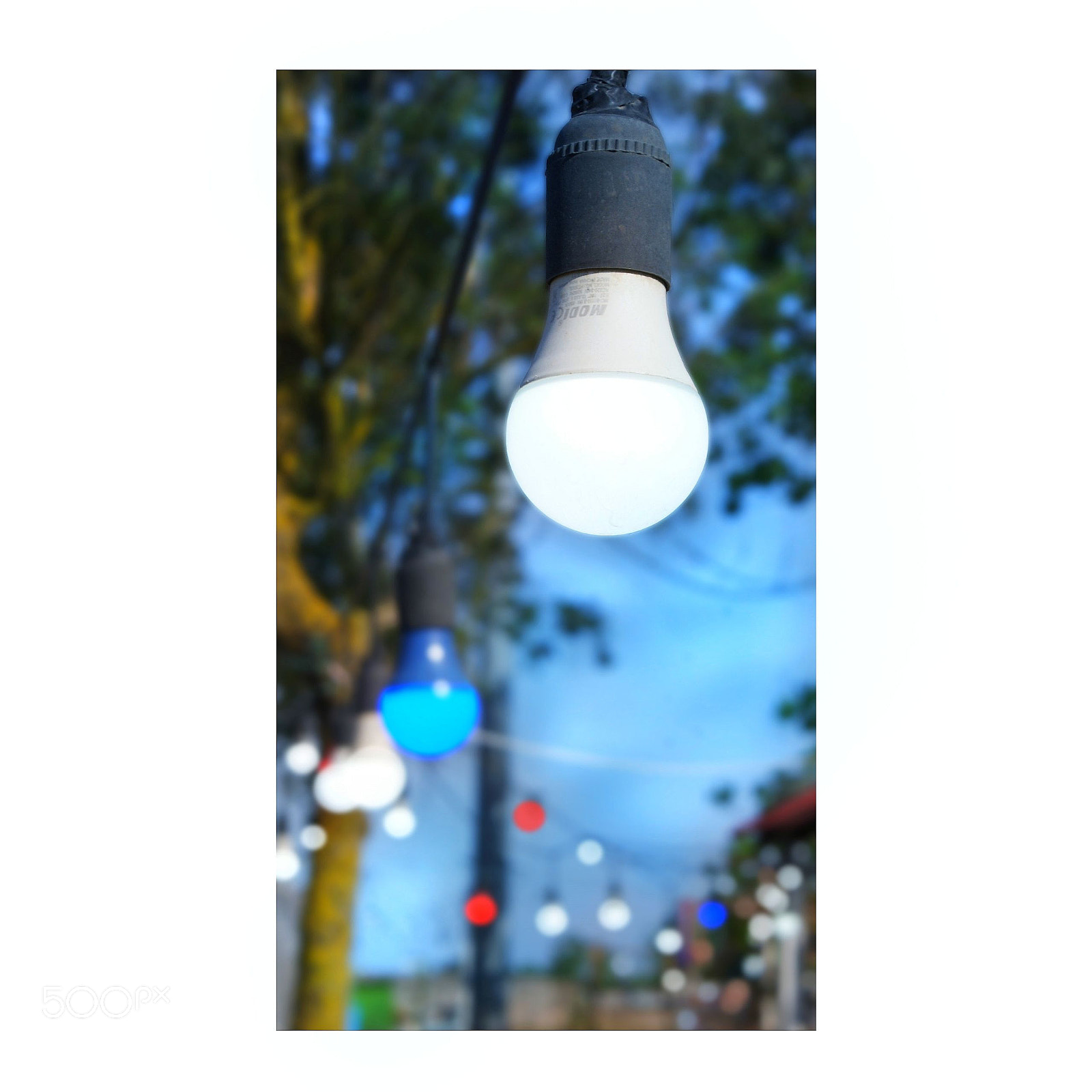 Sony Alpha DSLR-A200 sample photo. Untitled photography