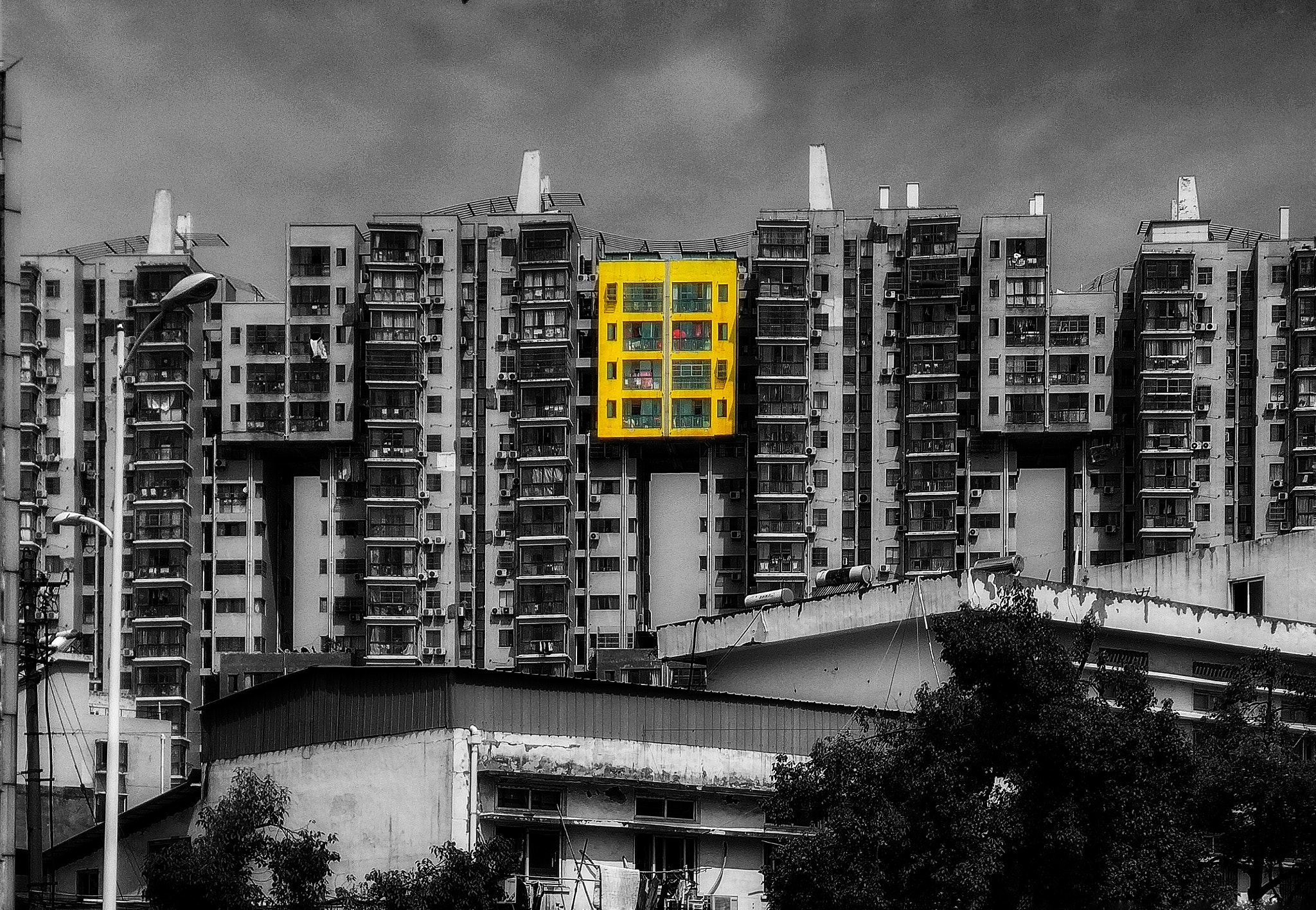 Xiaomi MI6 sample photo. Yellow photography