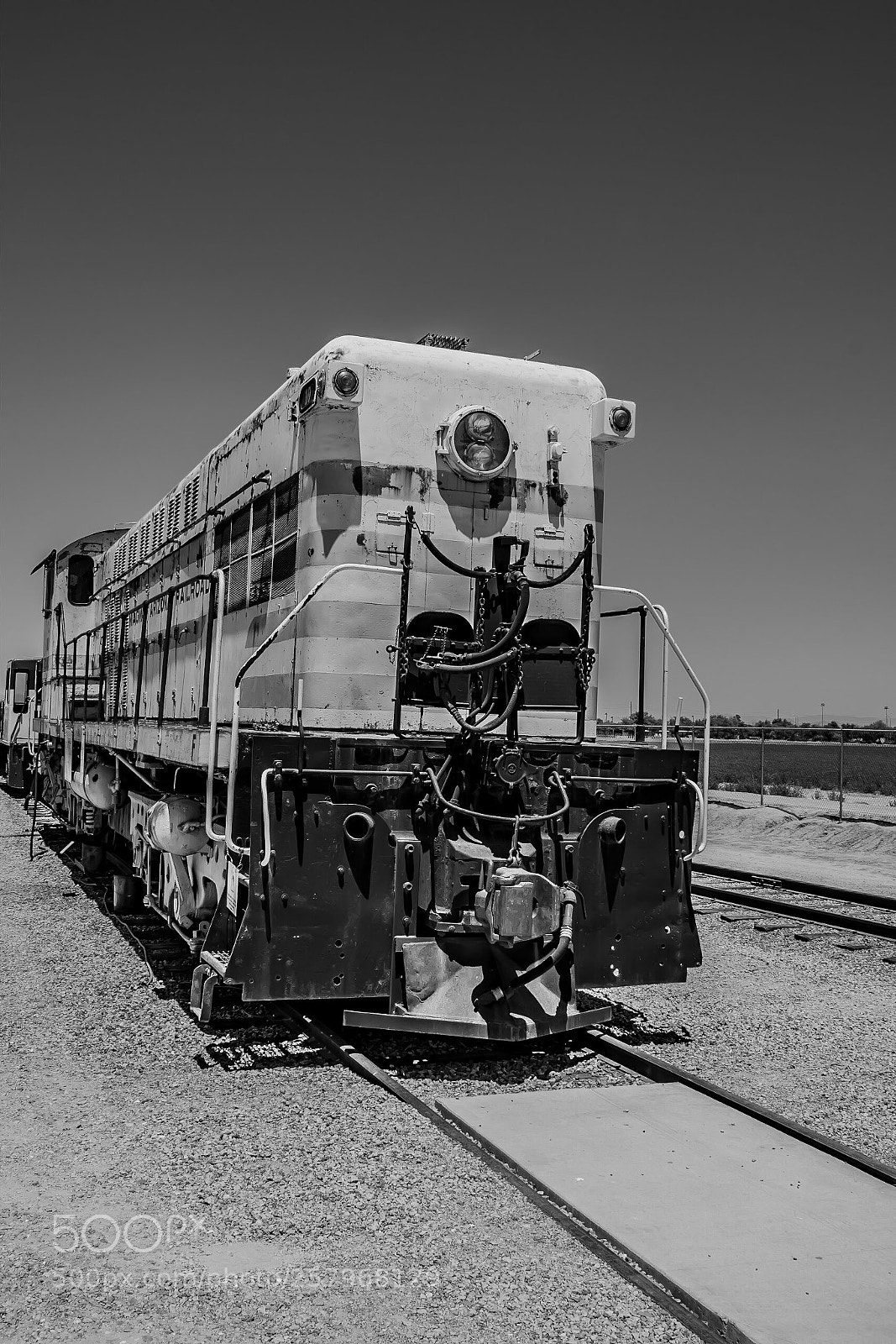 Nikon D7500 sample photo. Untitled photography