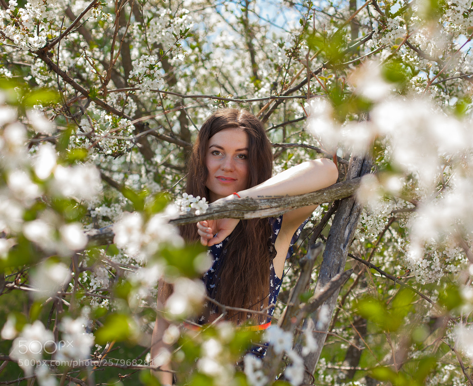 Canon EOS 5D Mark II sample photo. Beautiful girl surrounded by photography