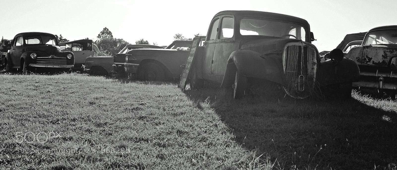Nikon D3200 sample photo. "chop shop" photography