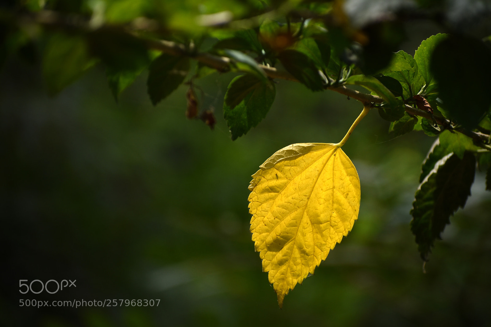 Nikon D3400 sample photo. Untitled photography