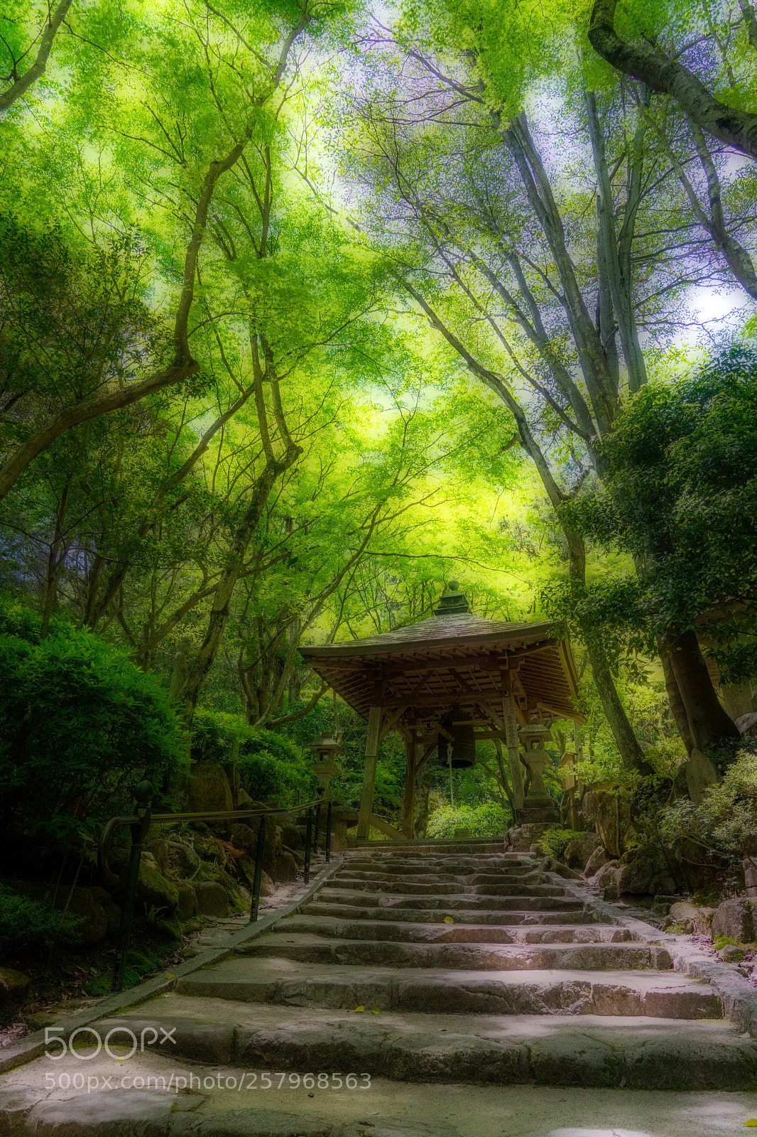 Sony a7 II sample photo. Mitaki temple photography
