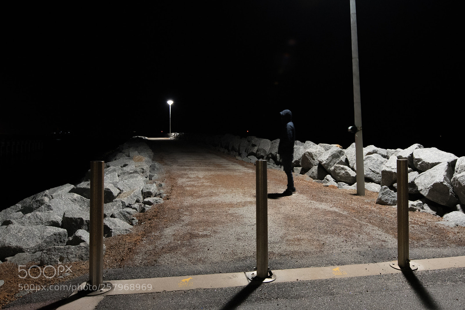Nikon D750 sample photo. 5am photography