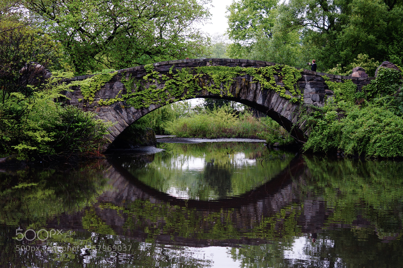 Sony Alpha NEX-7 sample photo. Gapstow bridge / central park photography