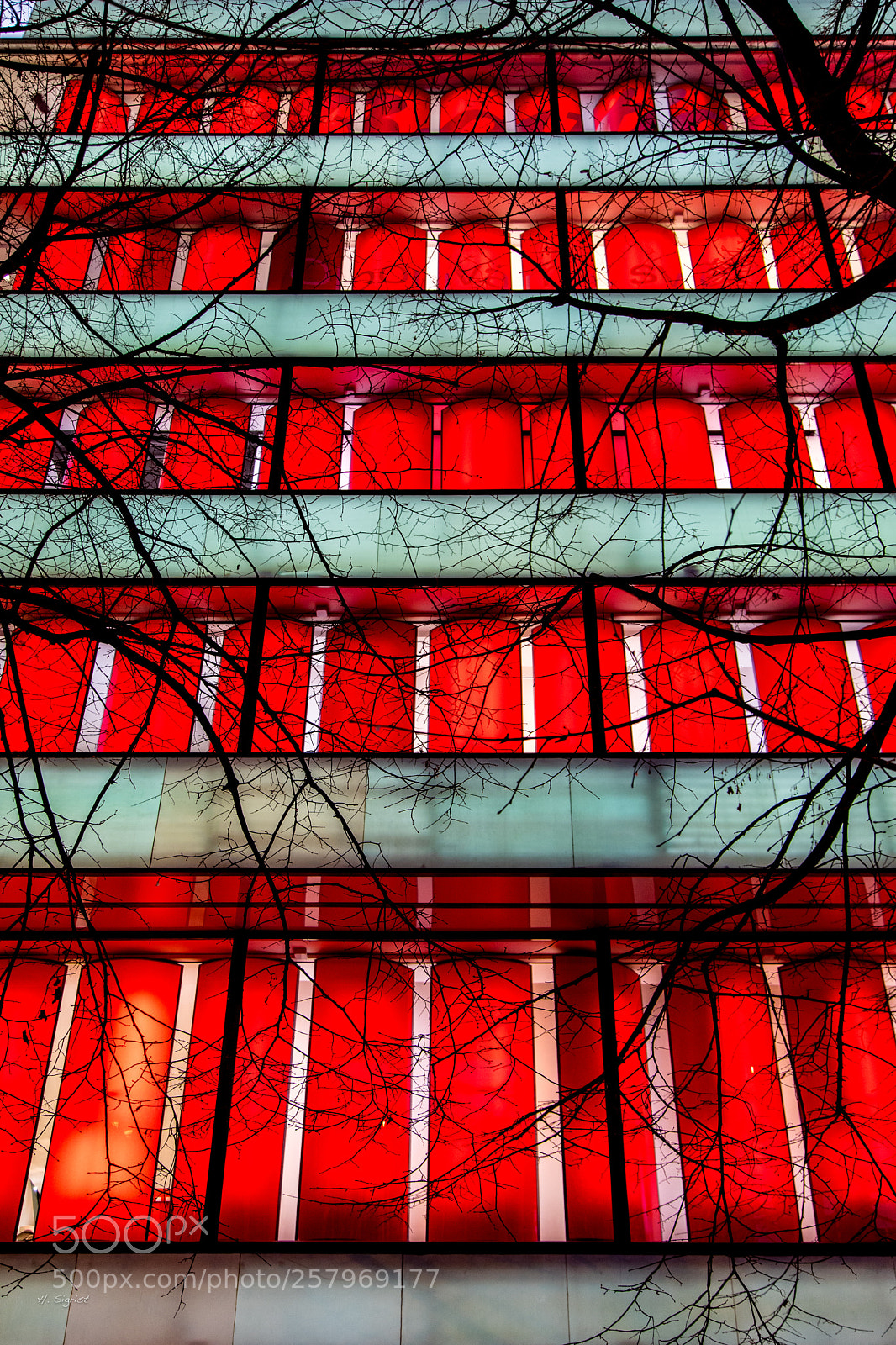 Canon EOS 6D Mark II sample photo. Veins photography