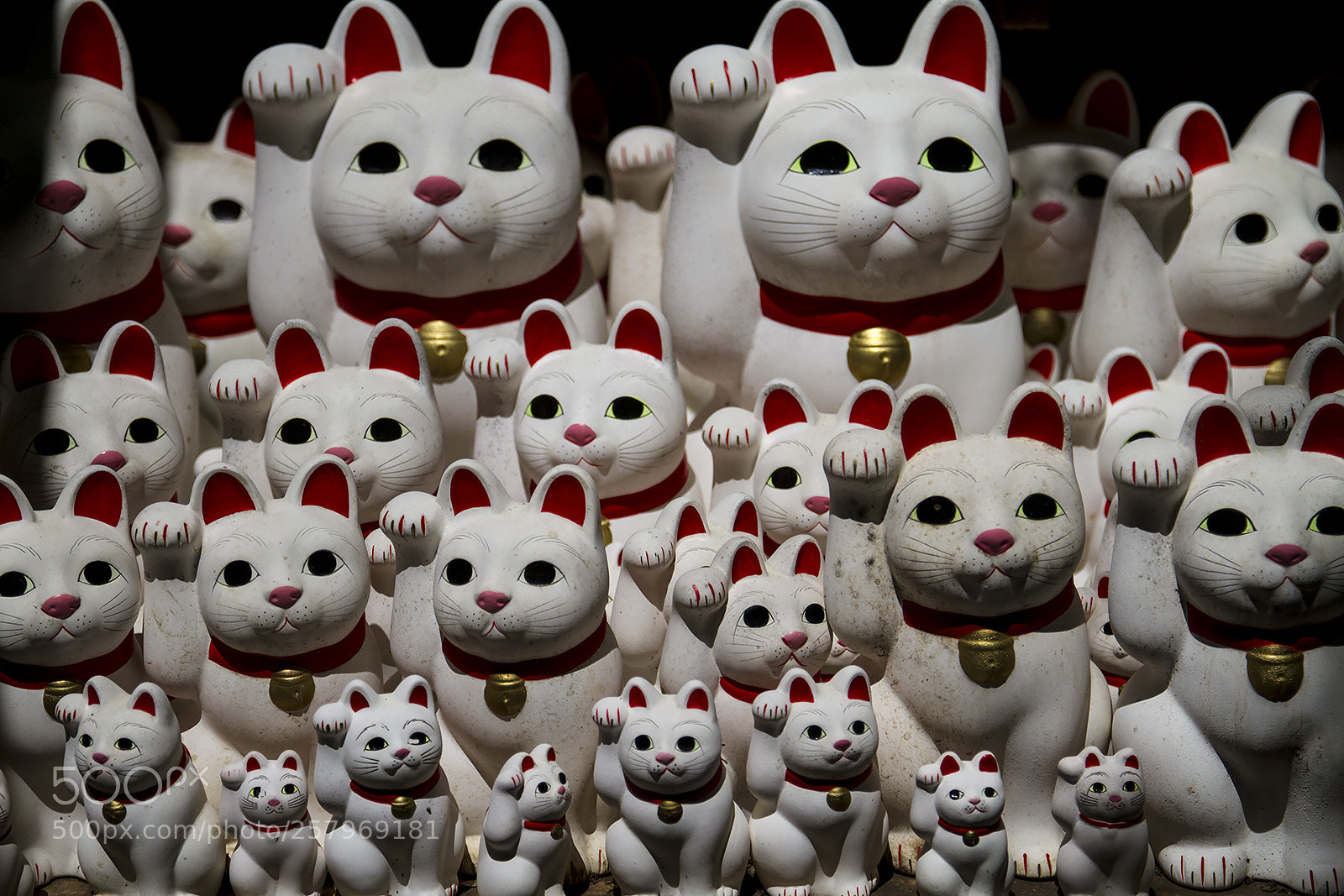 Canon EOS 7D sample photo. 豪徳寺 photography