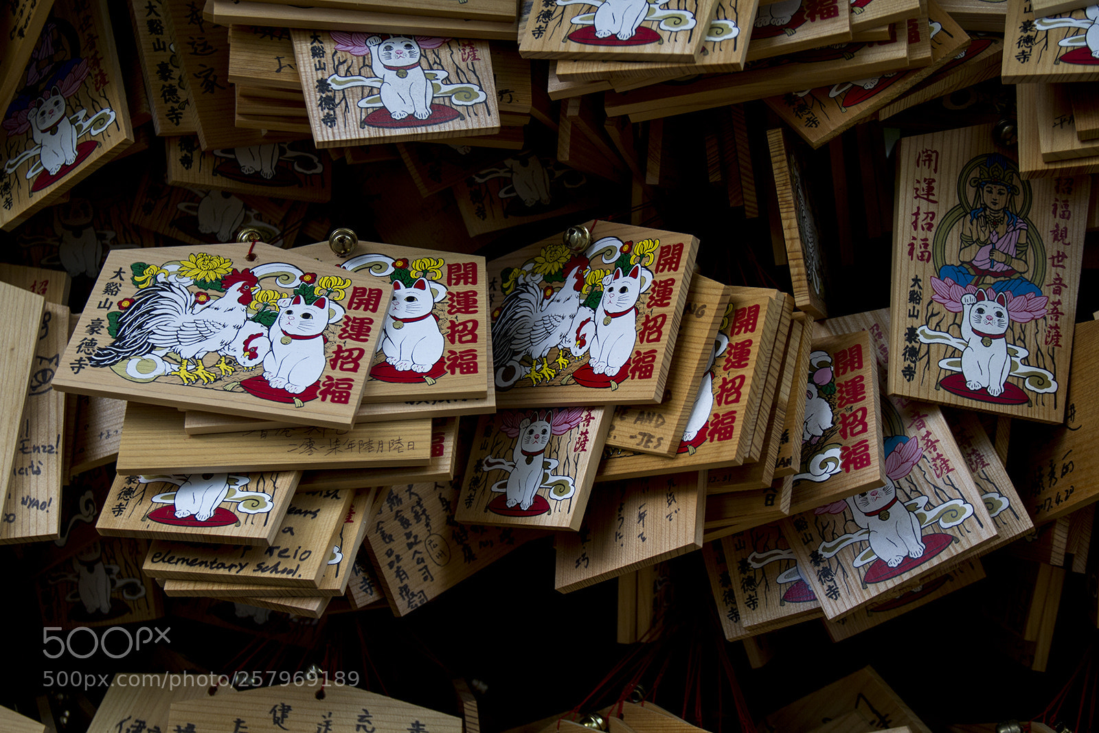 Canon EOS 7D sample photo. 豪徳寺 photography