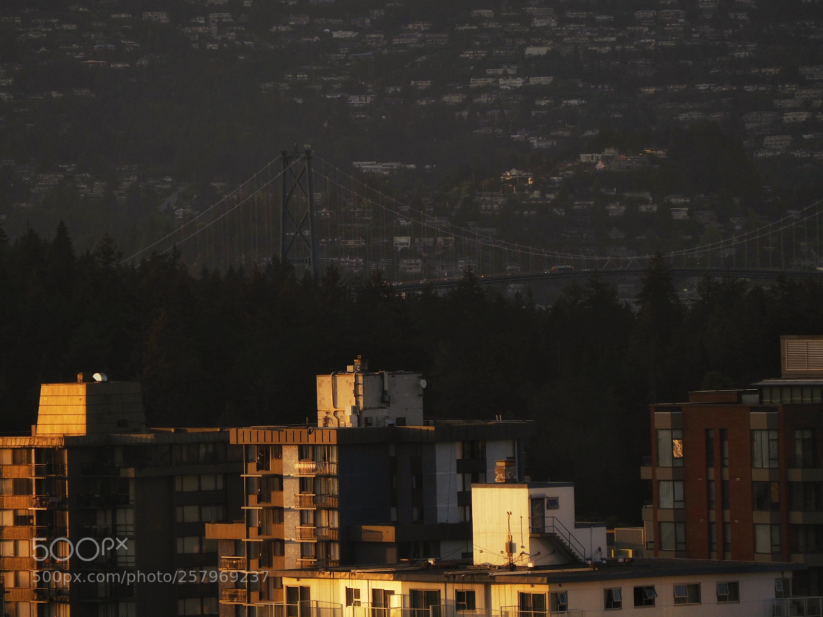Olympus OM-D E-M5 II sample photo. Building layers... photography