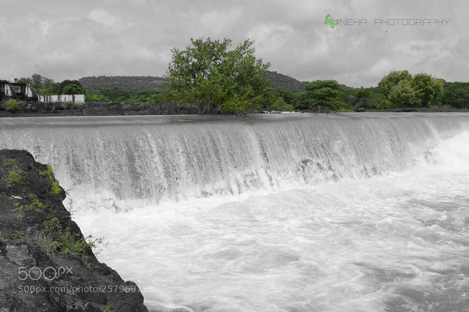 Nikon D5600 sample photo. Waiting for rains photography