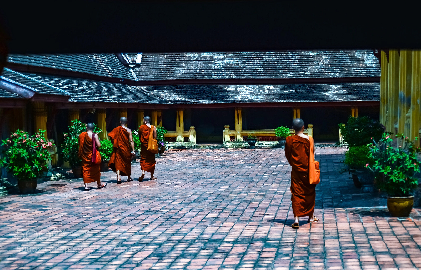 Nikon Df sample photo. Monk in laos photography