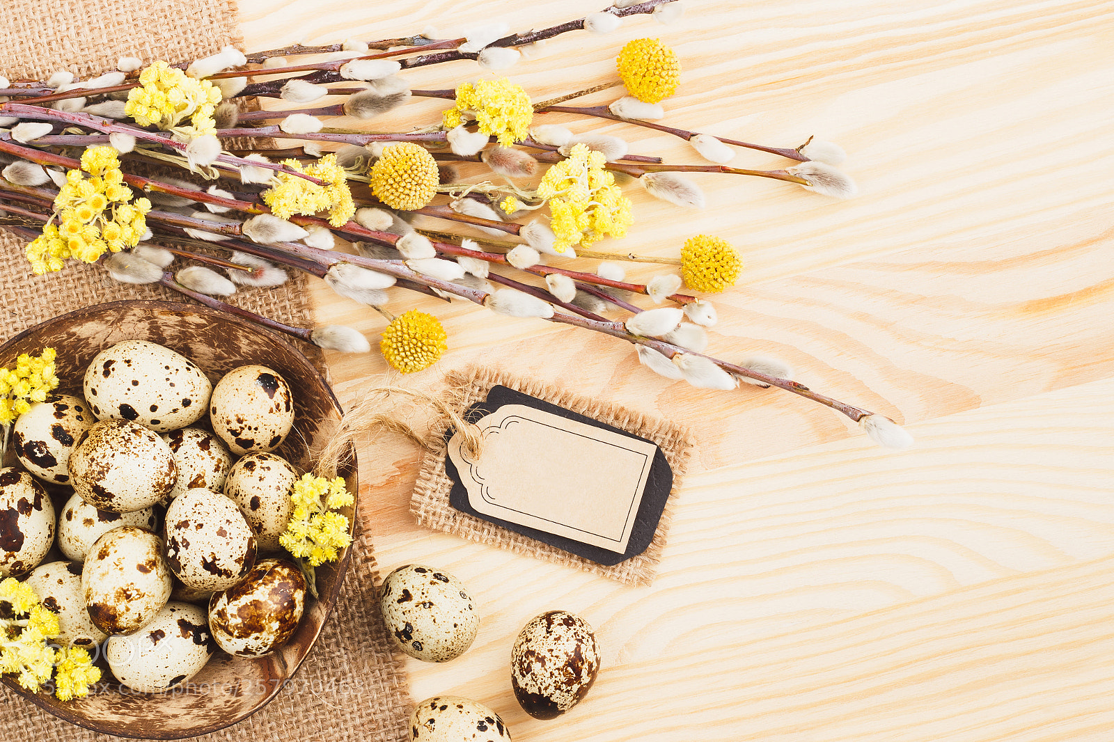 Canon EOS 600D (Rebel EOS T3i / EOS Kiss X5) sample photo. Quail eggs and dry photography