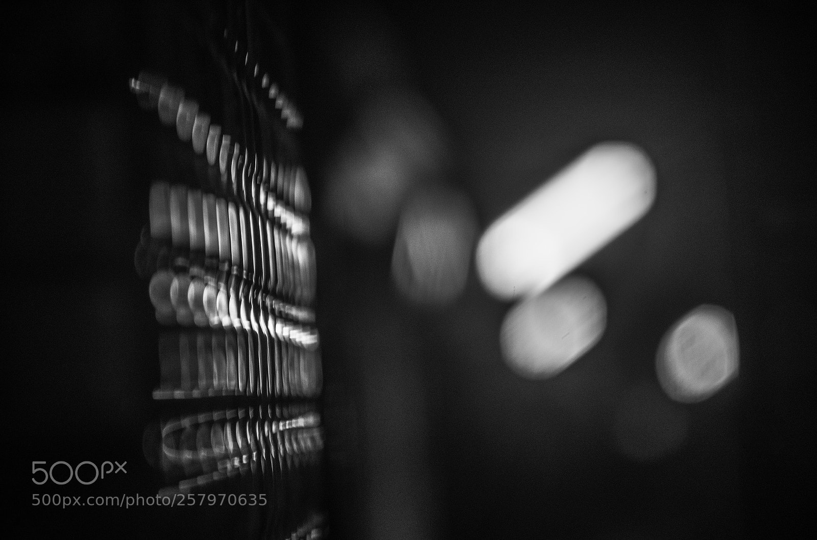 Nikon D5100 sample photo. Light photography