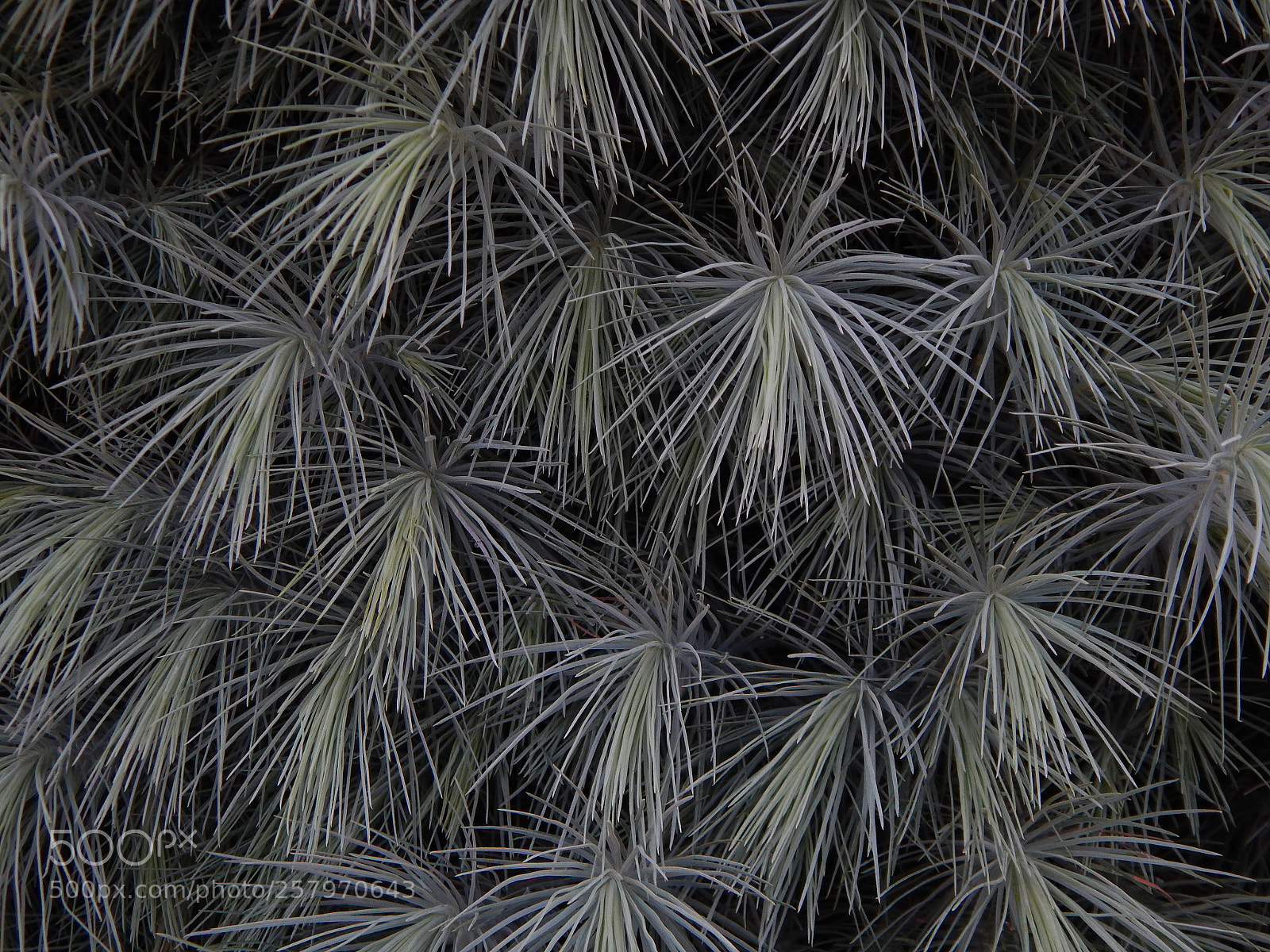 Nikon Coolpix L820 sample photo. Textura photography