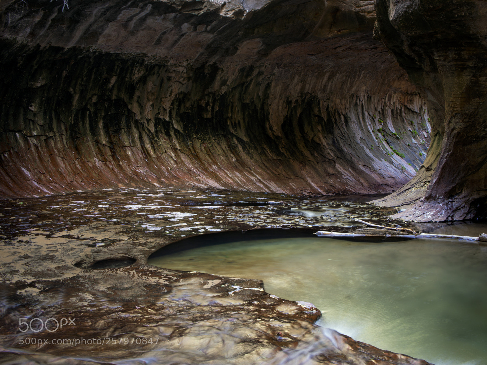 Olympus OM-D E-M5 sample photo. Zion national park, the photography