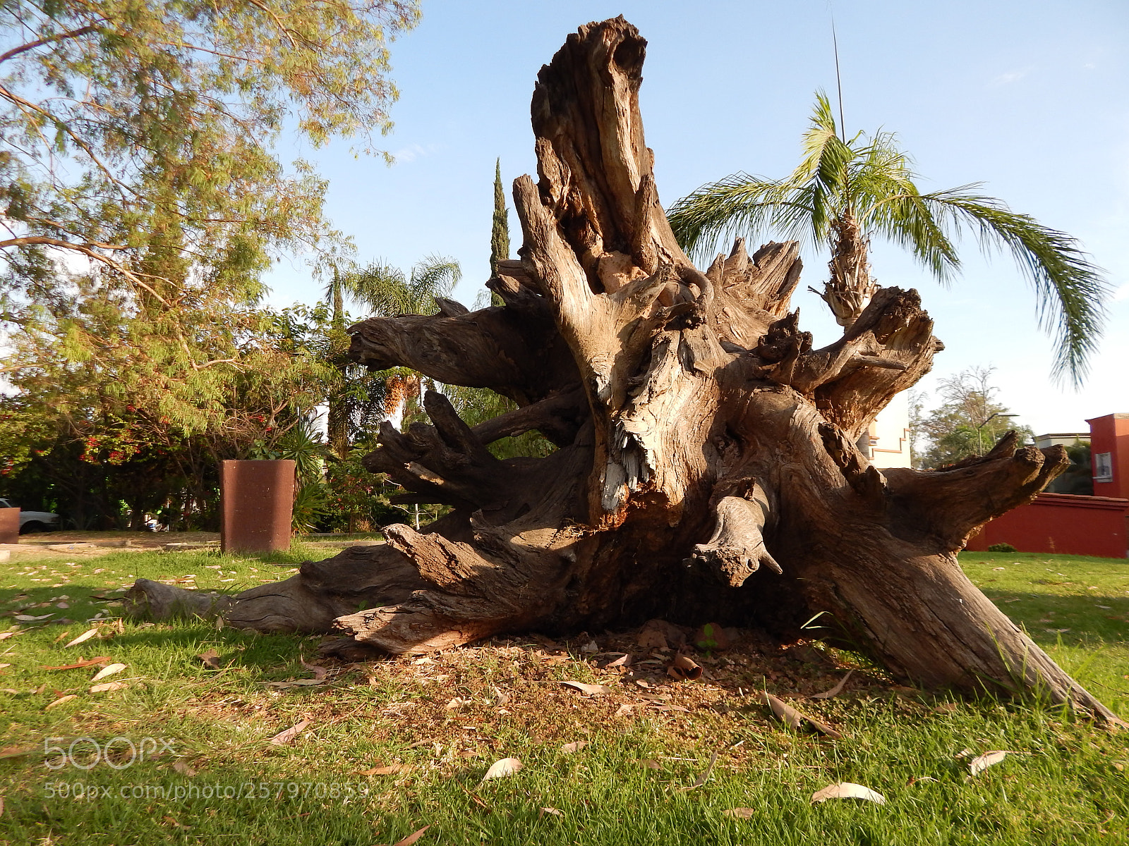 Nikon Coolpix L820 sample photo. Descubre photography