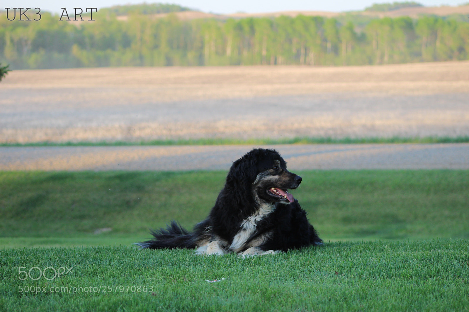 Canon EOS 1300D (EOS Rebel T6 / EOS Kiss X80) sample photo. Lazy evening photography