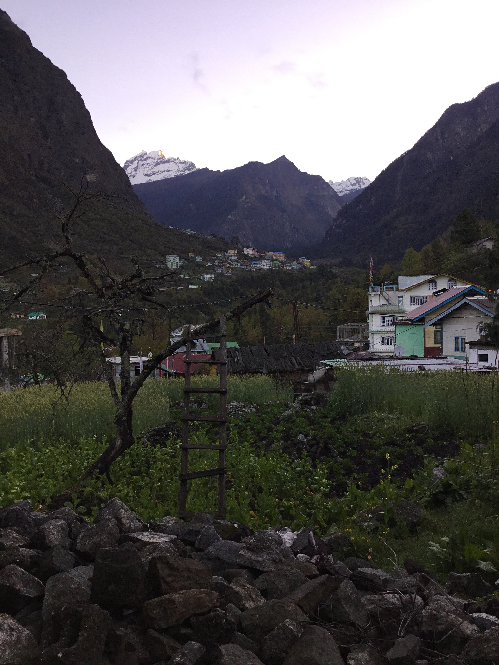 Apple iPad (5th generation) sample photo. My window! photography