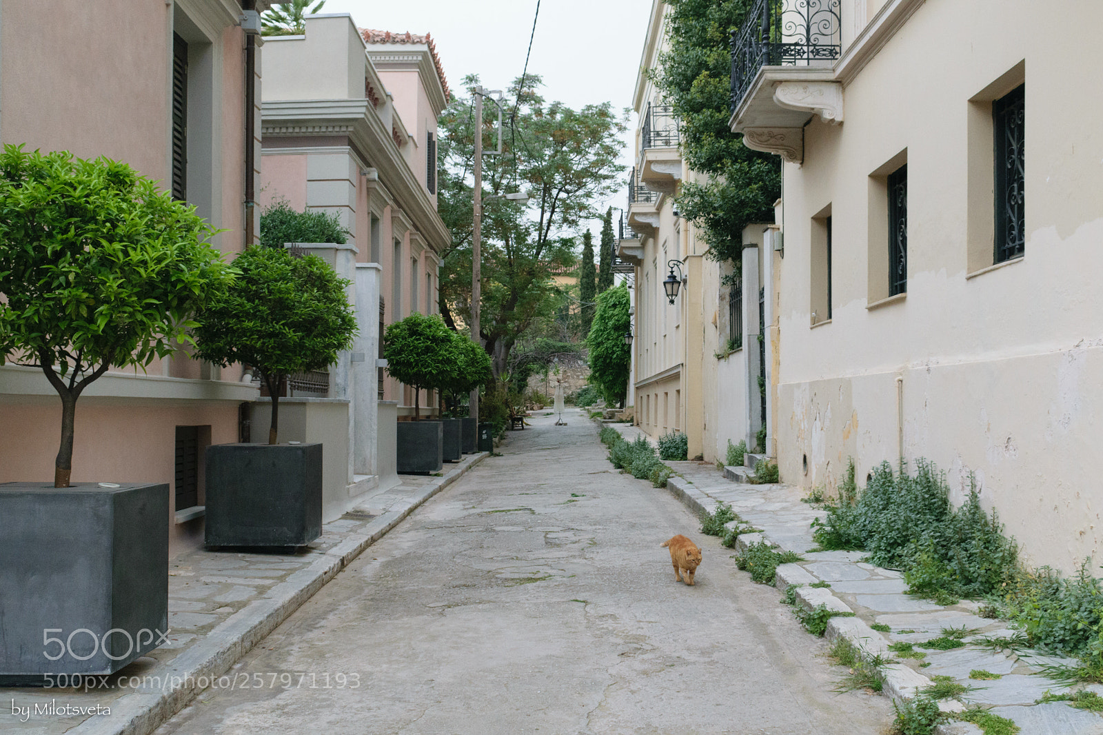 Nikon D3300 sample photo. True citizen of the photography