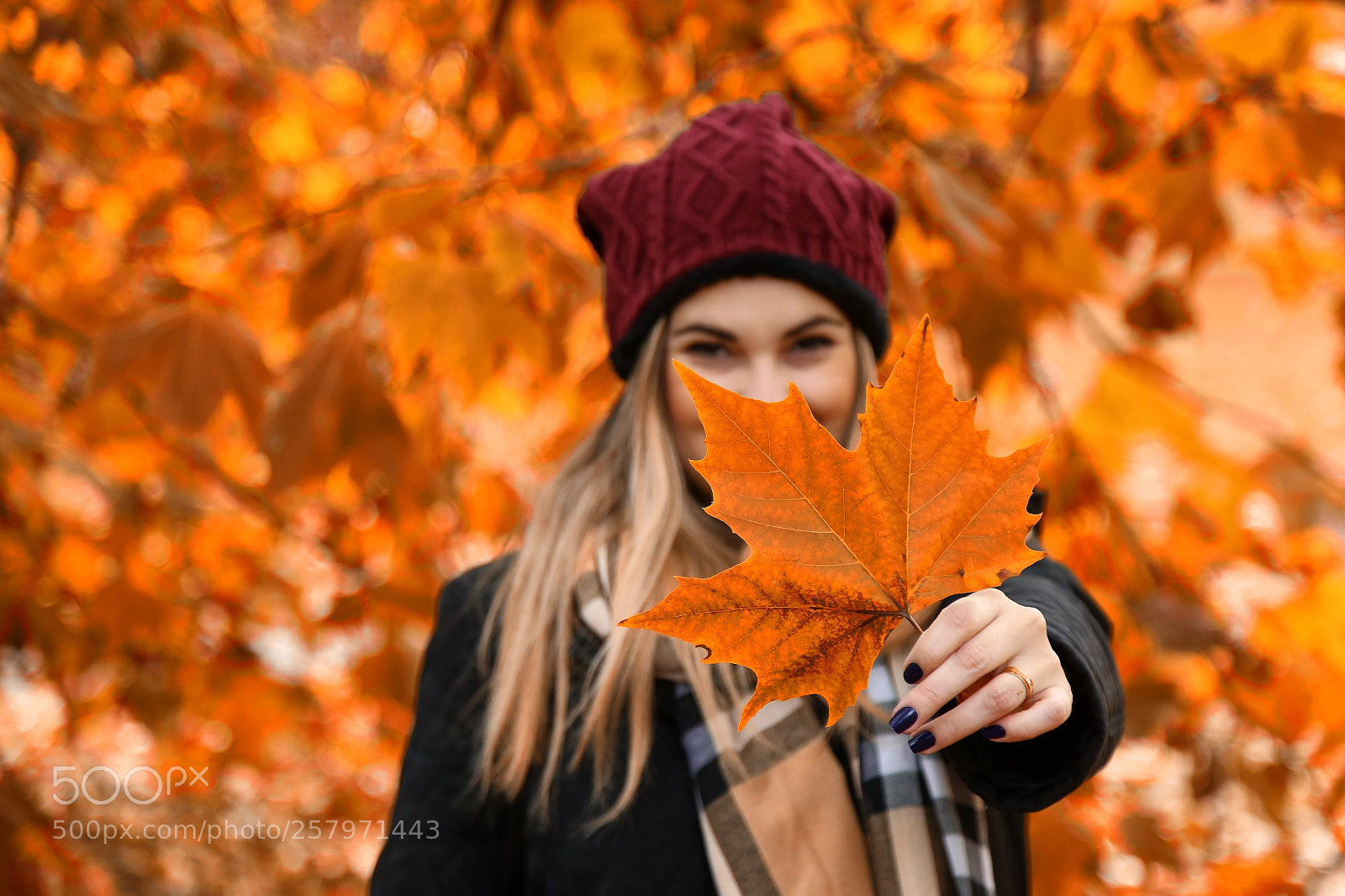 Canon EOS 6D sample photo. Autumn experience photography