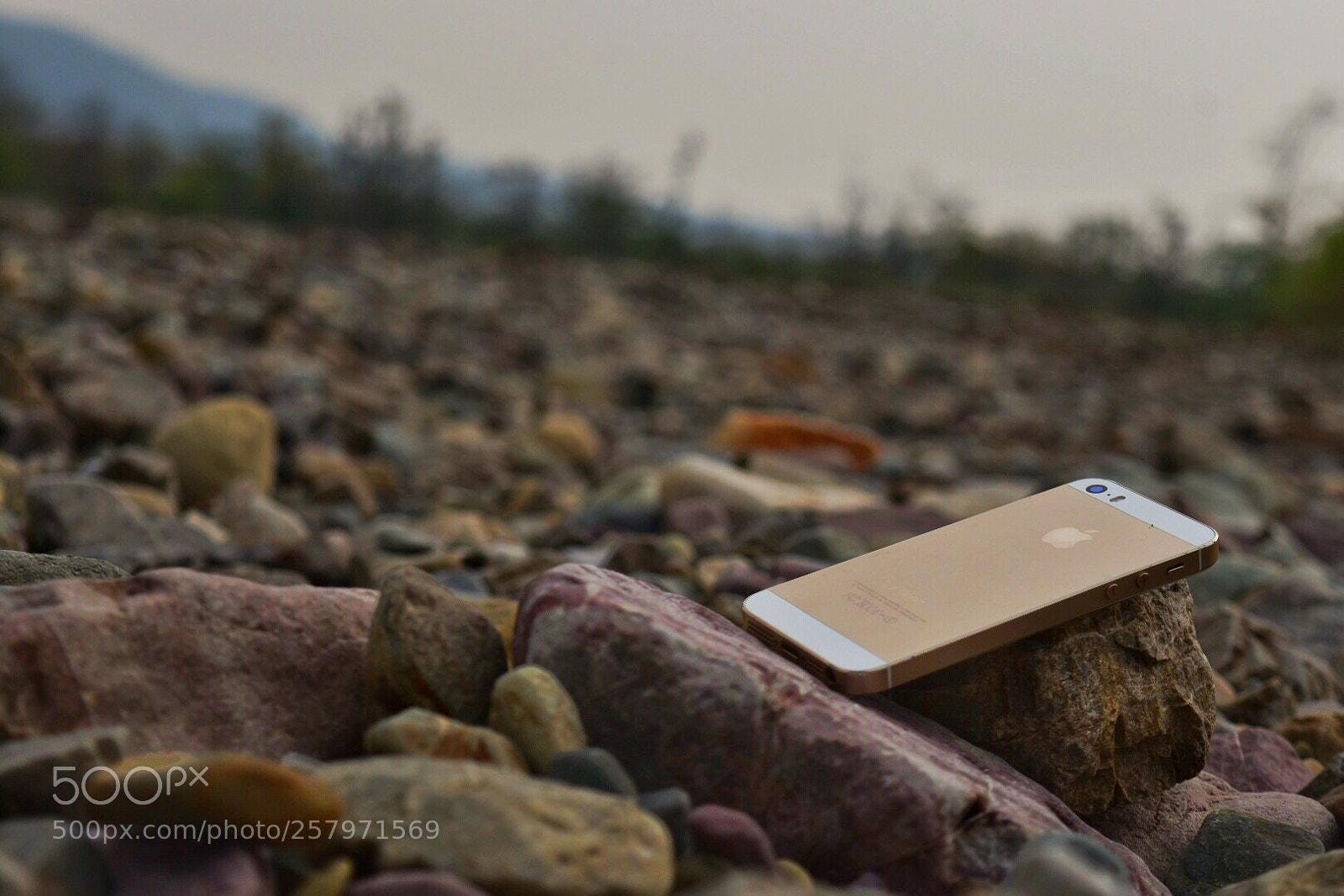 Nikon D5500 sample photo. Untitled photography