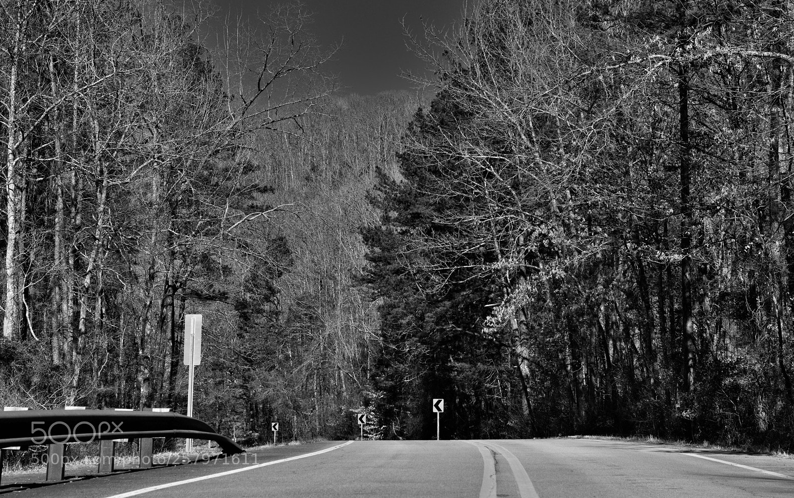 Nikon D800E sample photo. A scenic drive or photography
