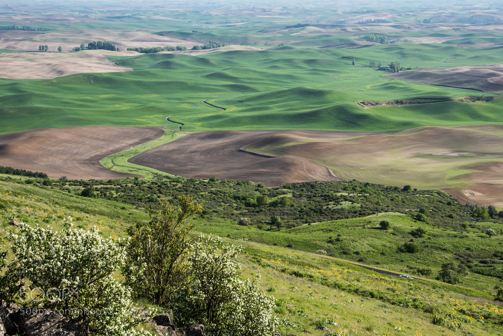 Nikon D810 sample photo. The hills are alive photography