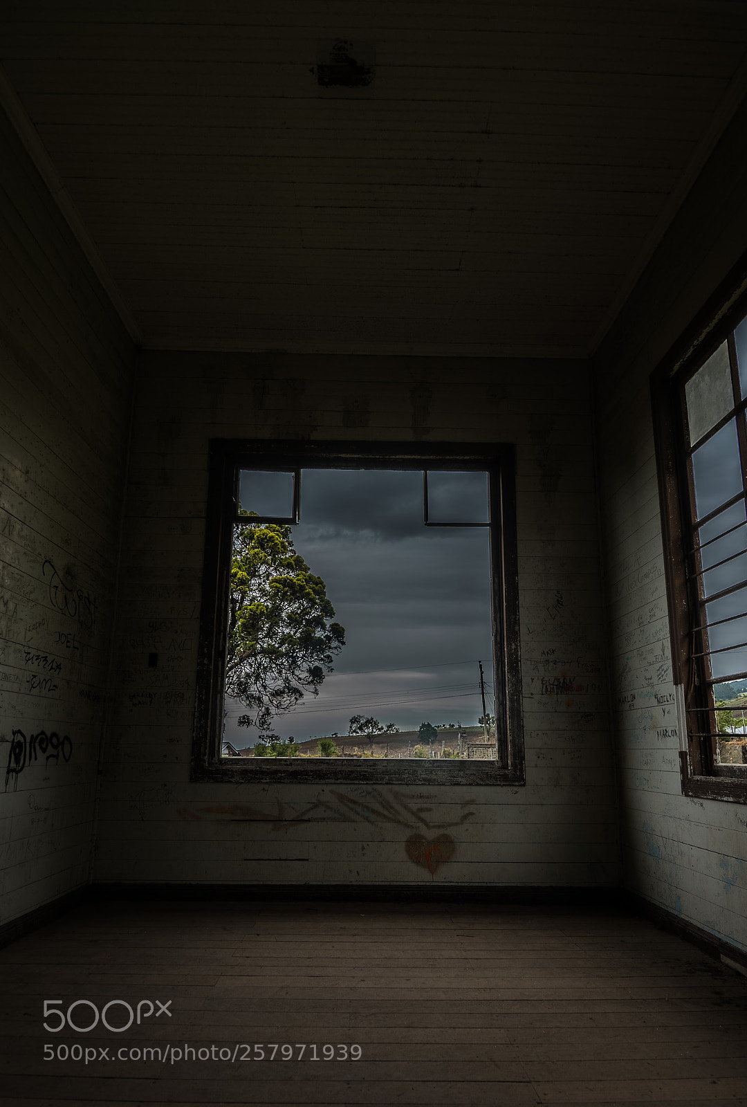 Nikon D500 sample photo. Window photography