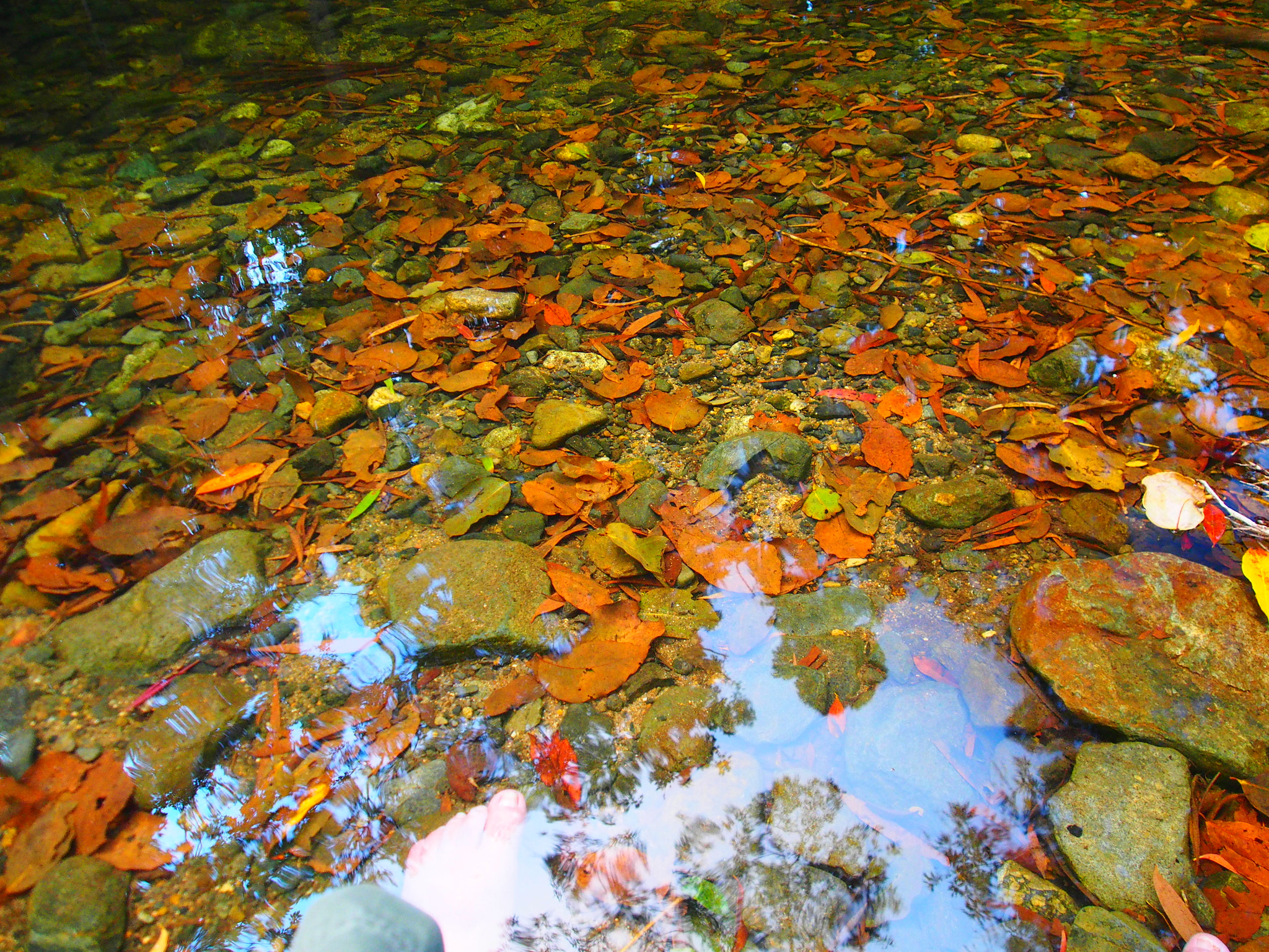 Olympus PEN E-PL5 sample photo. Ngimajin pools photography