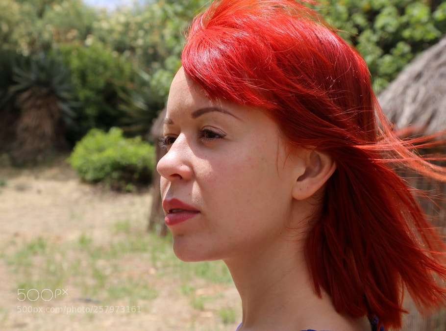 Canon EOS 6D sample photo. St 5 photography