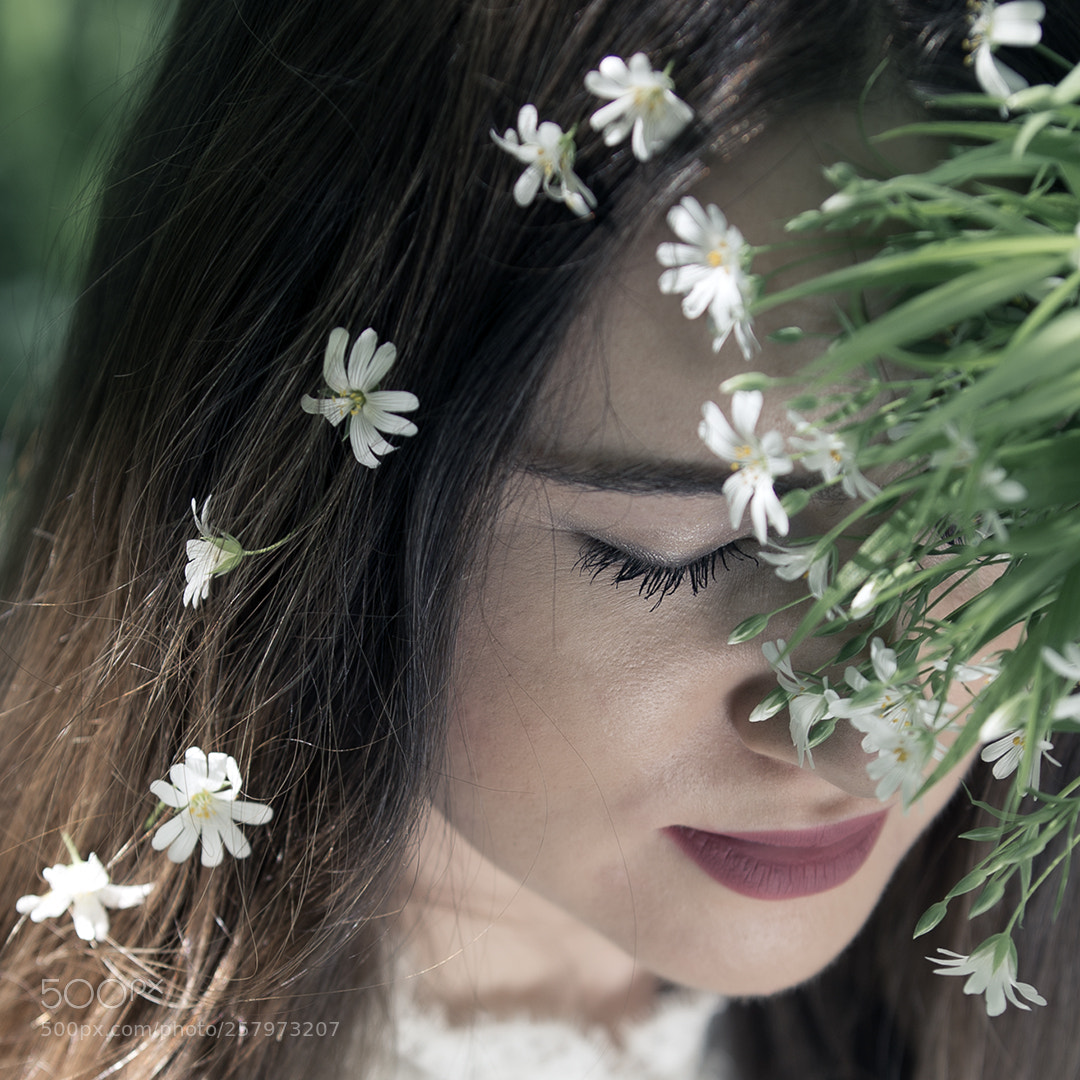 Canon EOS 6D sample photo. Untitled photography