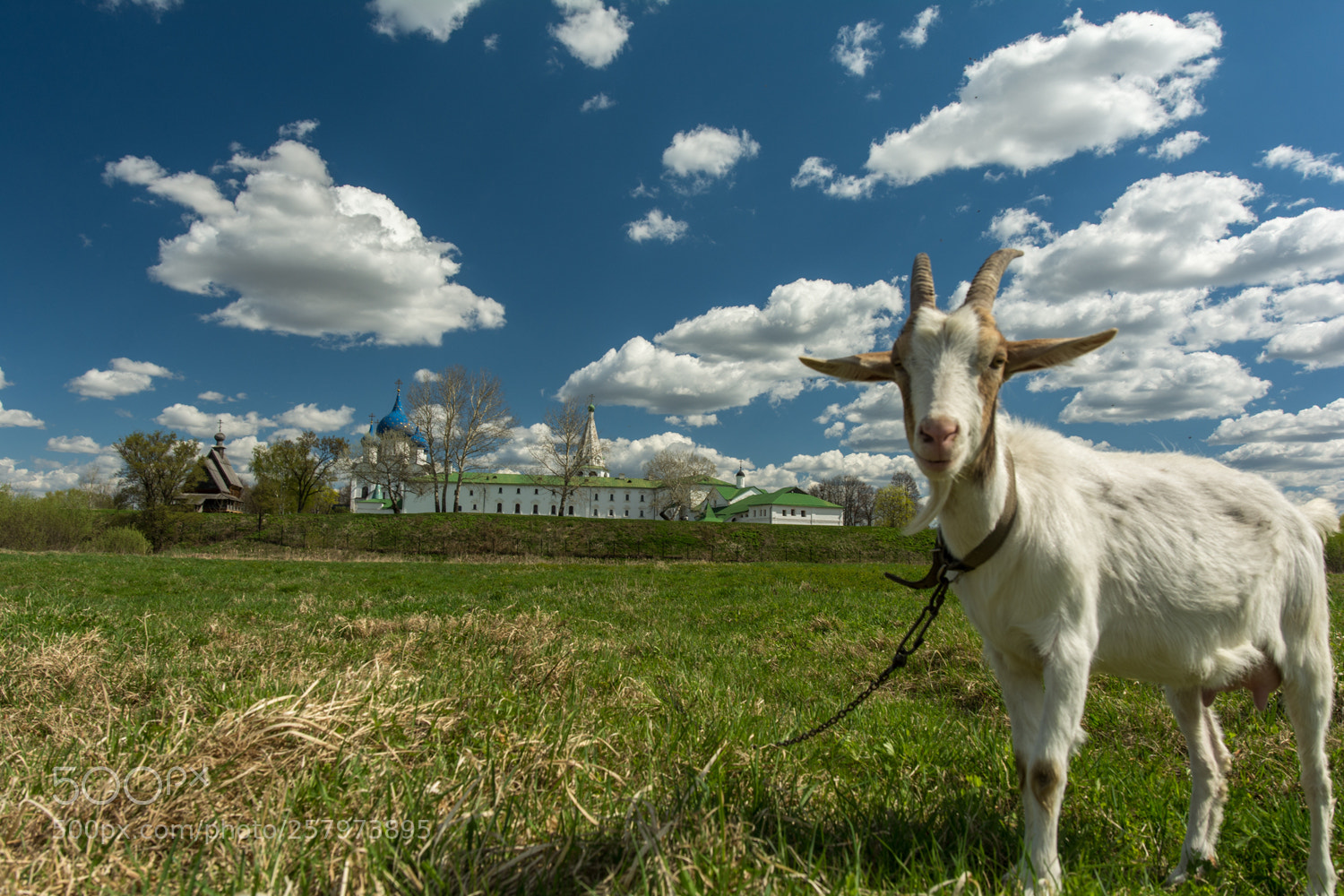 Nikon D7100 sample photo. Suzdal expanses photography