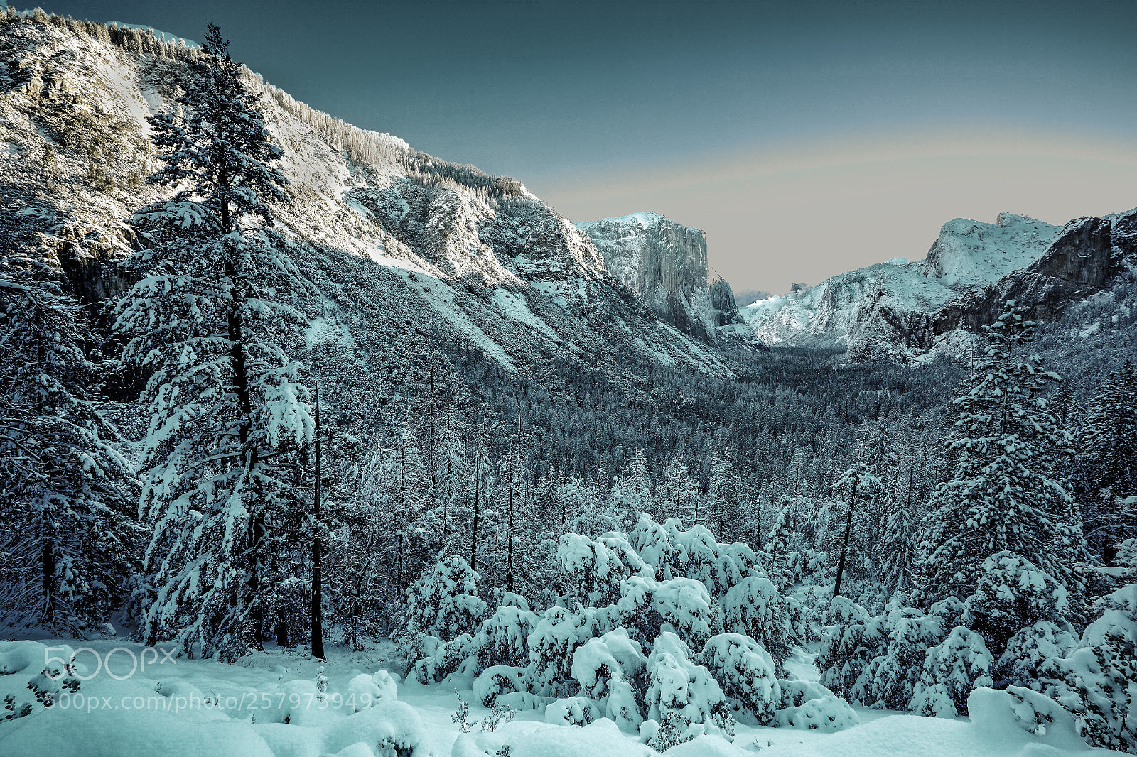Sony a7R II sample photo. Winter yosemite march 2018. photography